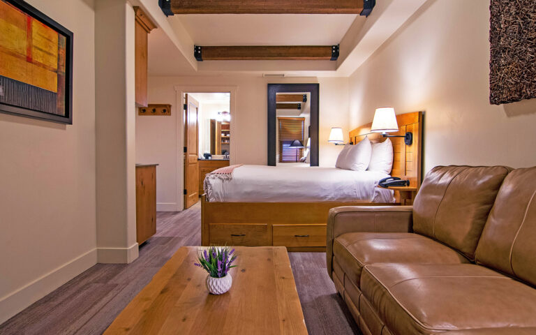 standard room with bed and sofa with furnishings