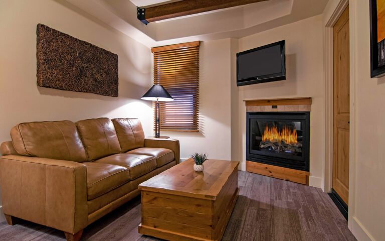 sofa, television and chimney