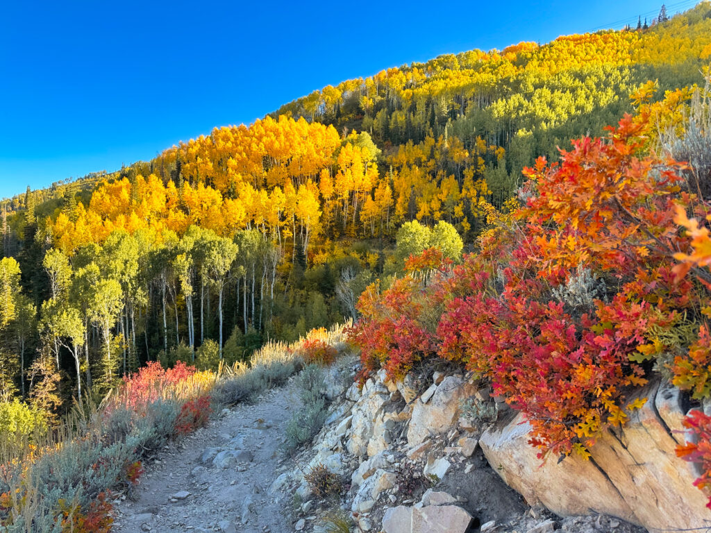Fall colors above Park City