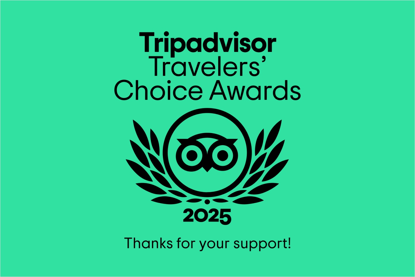 Trip advisor logo 2025 Travelers Choice Award.